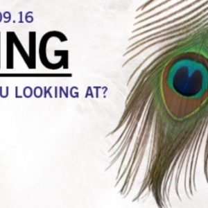 Seeing