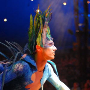 Cirque du Soleil - Varekai